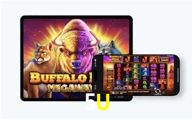 5U
